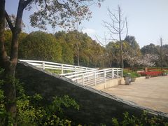 -新江湾城公园