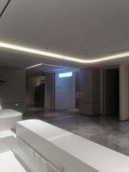 -广州美莱医疗美容医院