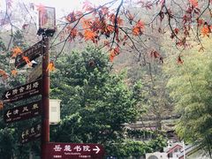 -岳麓山风景名胜区