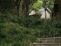 -徐家汇源景区-衡山公园