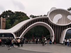 门面-成都大熊猫繁育研究基地