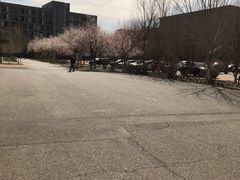 -辽宁中医药大学杏林学院(新校区)