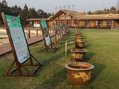 -崇明东平国家森林公园烧烤房车露营地