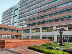 -香港大学