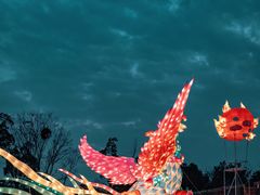 -武汉园博园(武汉自然博物馆)