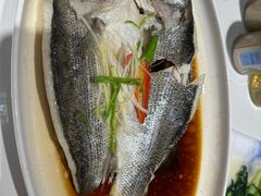 -马白开来特色羊排揪片子  (总店)