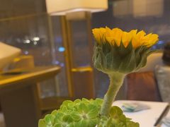 -北京柏悦酒店·锦庭餐厅Dining Room