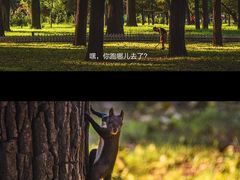 -二一九公园