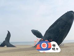 -烟台金沙滩海滨公园