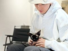 -琪喵猫屋·撸猫猫咖·猫舍