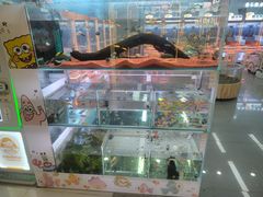 -丽达购物中心(崂山店)