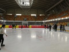 -松江大学城体育馆滑冰馆