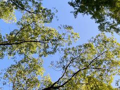 -食膳公园包子铺(烈士公园店)