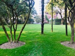 -复旦大学附属华山医院(总院)