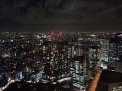 景点-东京都厅舍