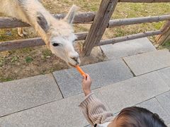 -泉州海丝野生动物世界