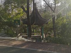 -北极阁公园