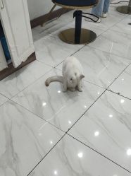 点击看大图 -镁连社·美联社