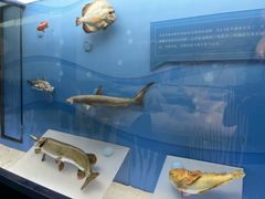 -陕西自然博物馆