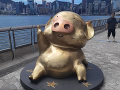 -星光大道