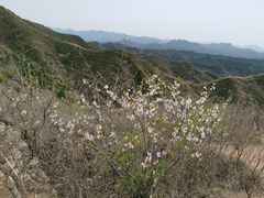 -蟠龙山长城景区