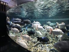 -成都浩海立方海洋公园