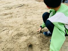 -白鹭湾湿地公园