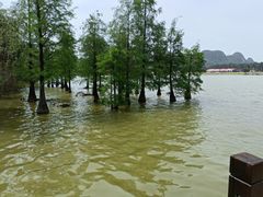 -南宁花花大世界景区