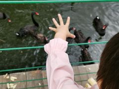 -长白岛森林公园