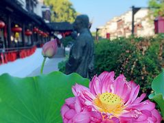 -奇芳阁·百年清真南京菜(夫子庙店)