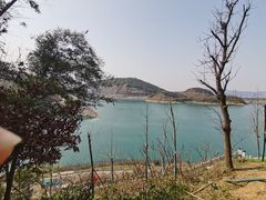 -长沙黑麋峰国家森林公园