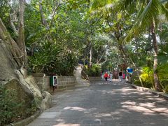 -海南分界洲岛旅游区