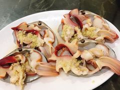 蒜蓉蒸马贝-蚝专家(北滘店)
