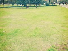 -艾溪湖湿地公园