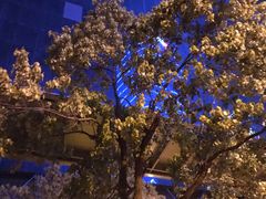 -安徽广播电视台