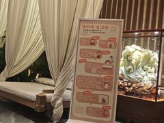 -太阳谷汤泉(市府店)