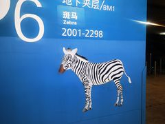 -虹桥综合交通枢纽-P6停车库