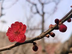 -北京明城墙遗址公园