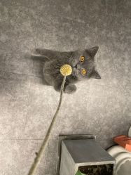 -飛凡TATTOO纹身•原创