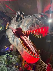 -恐龙探索乐园(磁器口店)