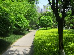 -龙头寺公园