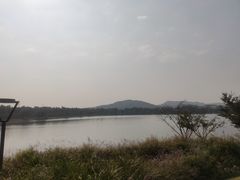 -羊山湖公园