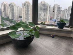-一个差评成就的纹眉店