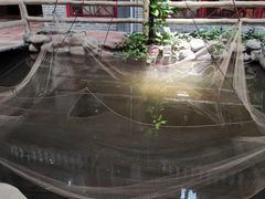 -鹅城