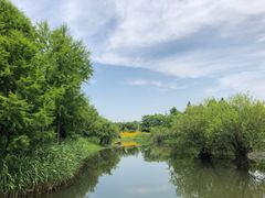 -贡湖湾湿地公园