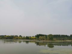 -东郊湿地公园