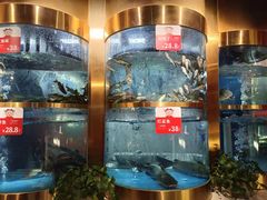 -蜀滋香鲜鱼美蛙火锅(339店)
