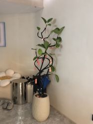 点击看大图 -KONSISTANT科思坦汀问题肌·科技美肤