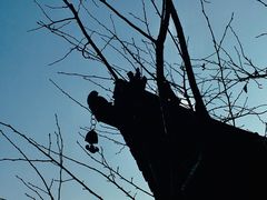 -杭州半山国家森林公园