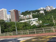 -大埔公路-马料水段香港中文大学(公交站)